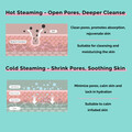 Habo by Ogawa Daisy Hot & Cold Aromatherapy Facial Steamer*
