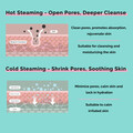 [Apply Code: 6TT31] Habo by Ogawa Daisy Hot & Cold Aromatherapy Facial Steamer*